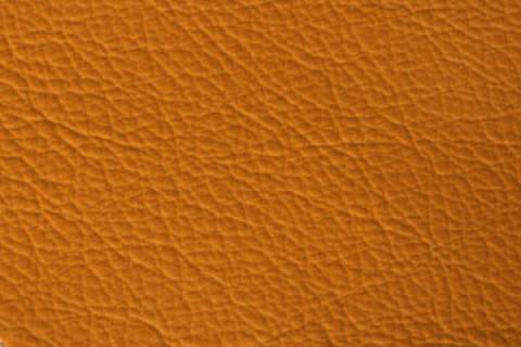 Classic Nappa - Rindlederfelle - Bild: Lederfarbe-Ginster_12