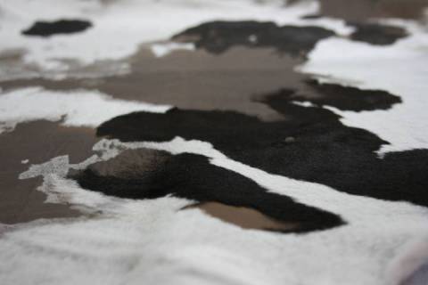 Unikat - Kalbfelle - Taurus - Bild: Braun-Weiss2