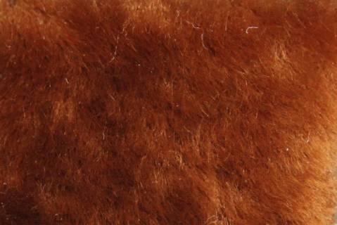 Lammfelle - Bild: 9003