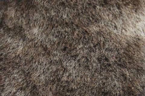 Lammfelle - Bild: 9017