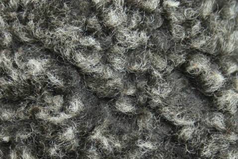 Lammfelle - Bild: 9018