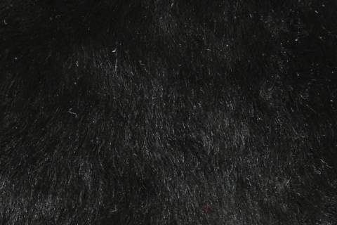 Lammfelle - Bild: 9025