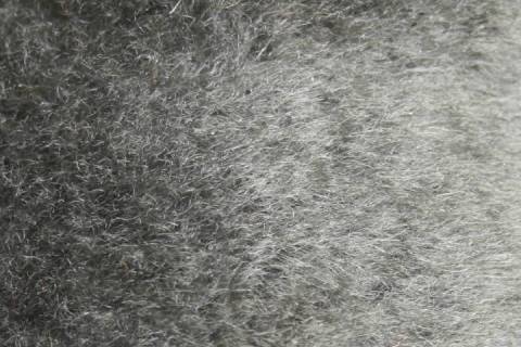 Lammfelle - Bild: 9052