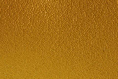 Lammnappa Blouse - Bild: Farbe-Gelb