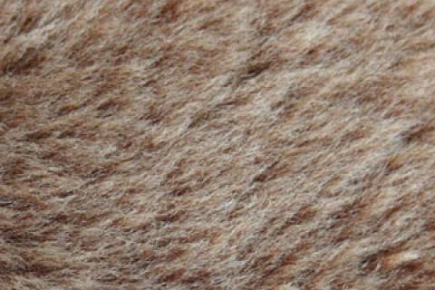 Merino - Pelze - Lammfelle - Bild: Farbe-Kastanie_8