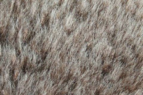 Merino - Pelze - Lammfelle - Bild: Farbe-Schoko_11