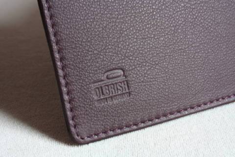 Cover I-Pad H&uuml;llen - Olbrish b - Bild: A1