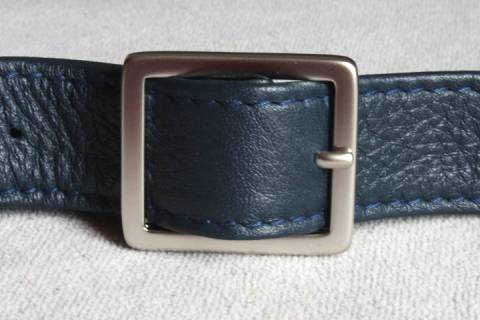 Olbrish b - Chamaeleon Blau / Hellblau - Bild: A1