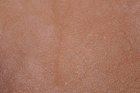 M&ouml;belleder - Palermo - Bild: Lederfarbe-Nuss_3