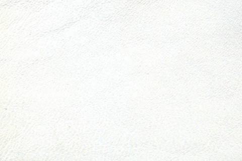 M&ouml;belleder - Palermo - Bild: Lederfarbe-Weiss_8