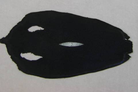 Rochenleder - Bild: A3