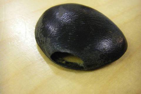 Reparatur Schaltkn&uuml;ppelknauf - Schaltknaufbezug - Bild: A1