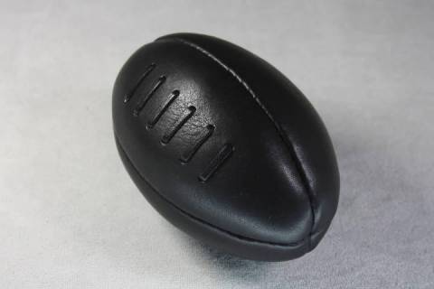 Sonnenleder Minirugbyball - Bild: A8