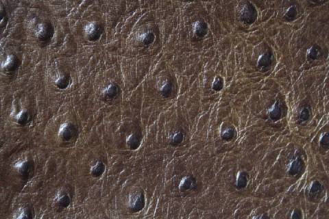 Kalbleder mit Strausspr&auml;gung - Bild: Farbe-Braun