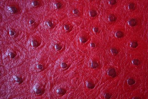 Kalbleder mit Strausspr&auml;gung - Bild: Farbe-Rosso