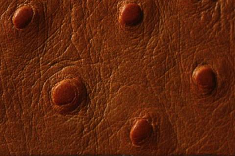 Kalbleder mit Strausspr&auml;gung - Bild: Farbe-Zimt