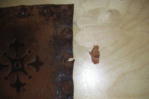 Stuhlrestauration - Bild: A2