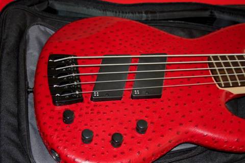 Ledergitarrenbezug - Roter Panther - Bild: a9