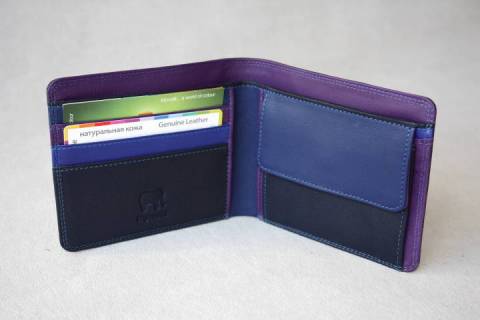 Mywalit Geldb&ouml;rsen Kingfisher 138-73 - Bild: a1