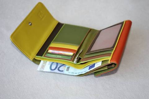 Mywalit Geldb&ouml;rsen Savanna 250-93 - Bild: a7