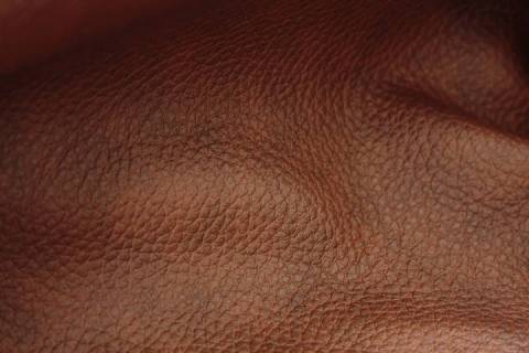 Rindnappa M&ouml;belleder Savanne gewischt - Bild: a2