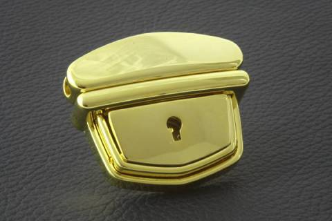 Taschenschloss - Gold 244 - Bild: a5